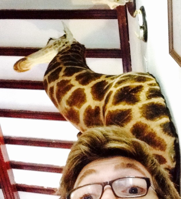 Giraffe head
