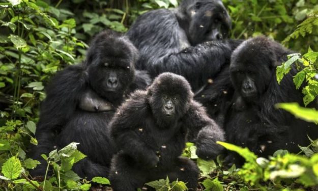 bageni_family-750×450