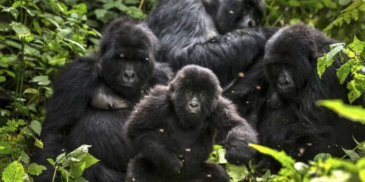 bageni_family-750×450